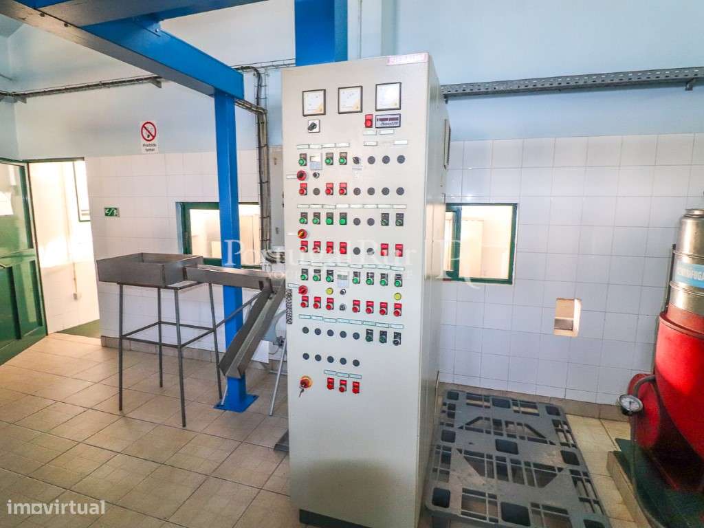 Unidade Industrial de Produção de Azeite & Elevado Potencial Produtivo-31