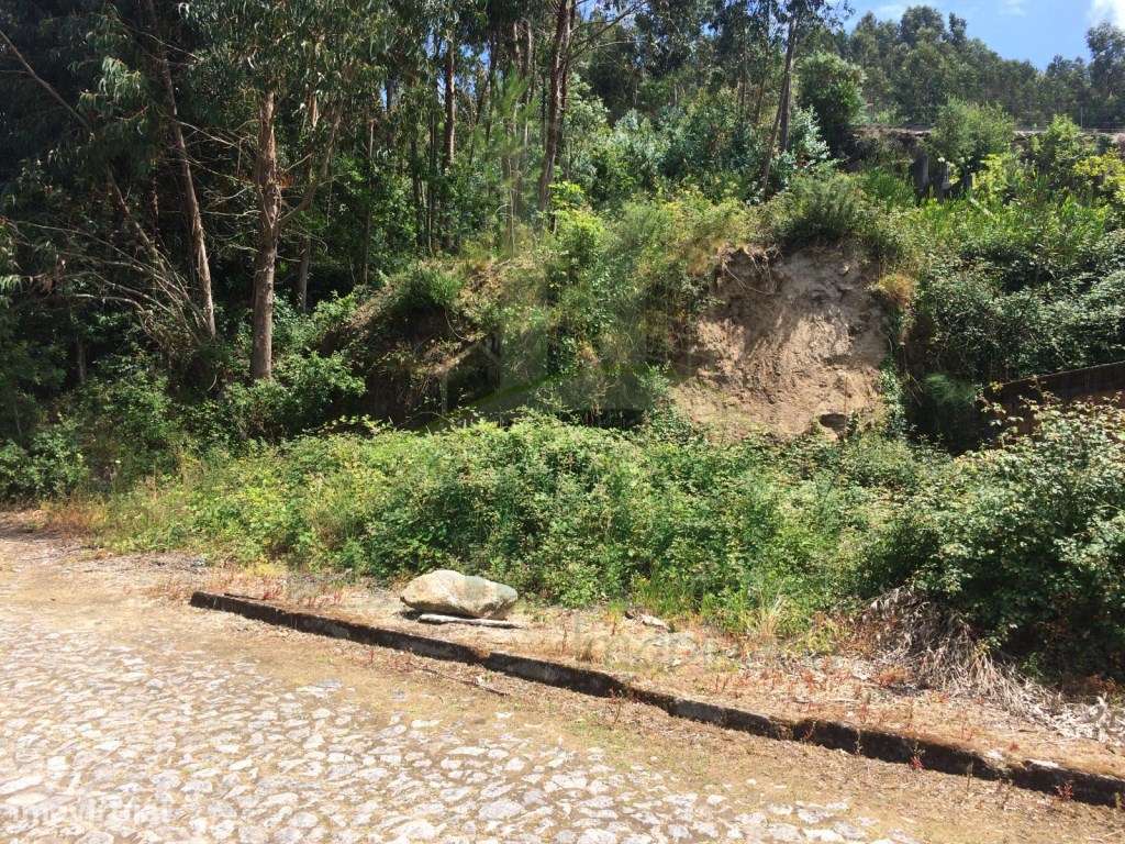 Lote de Terreno para construção em Seixas - Grande imagem: 3/5