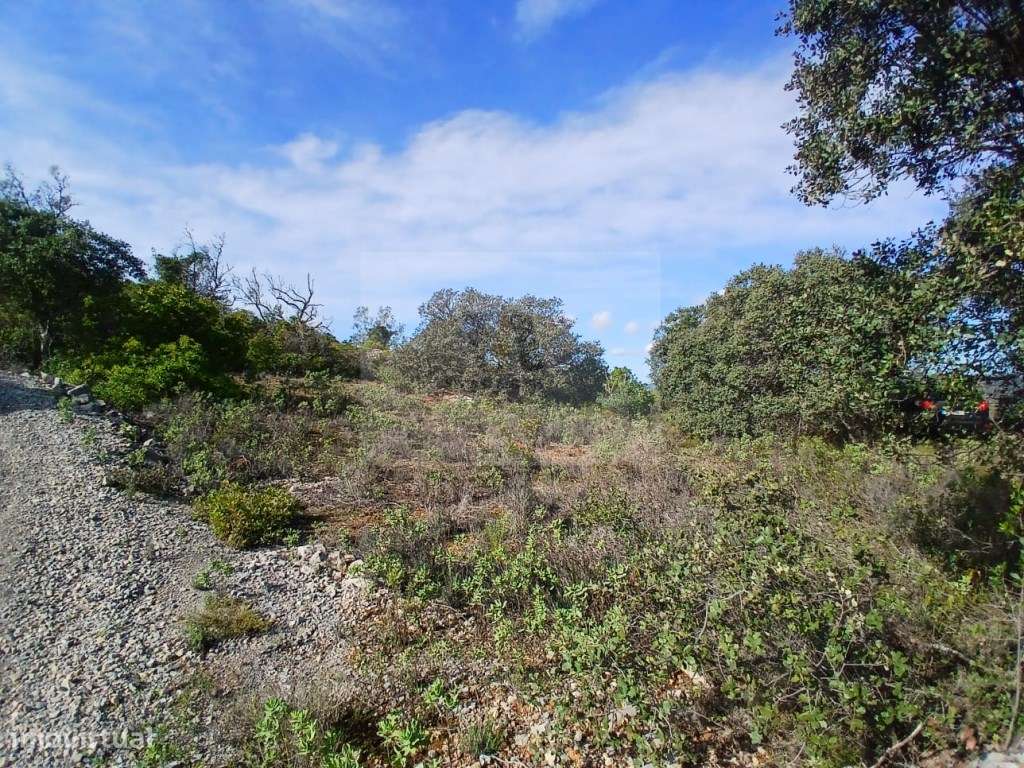 Terreno rustico com fabulosa vista montanha e para a vila de São Br... - Grande imagem: 3/16