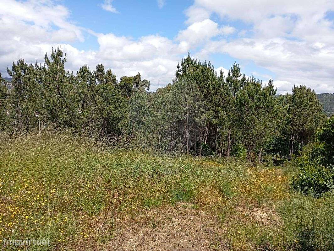 Terreno  para venda - Grande imagem: 4/12