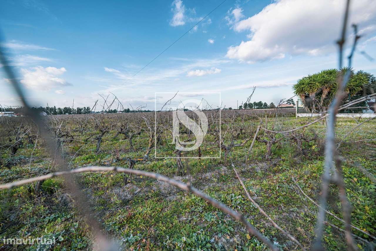 Herdade T3+2 Venda em Poceirão e Marateca,Palmela-9