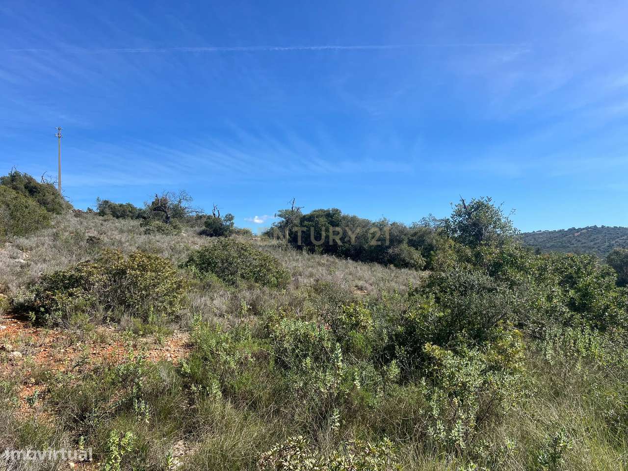 Terreno Rústico com 3.320m2 a 4 km de Paderne - Grande imagem: 4/6