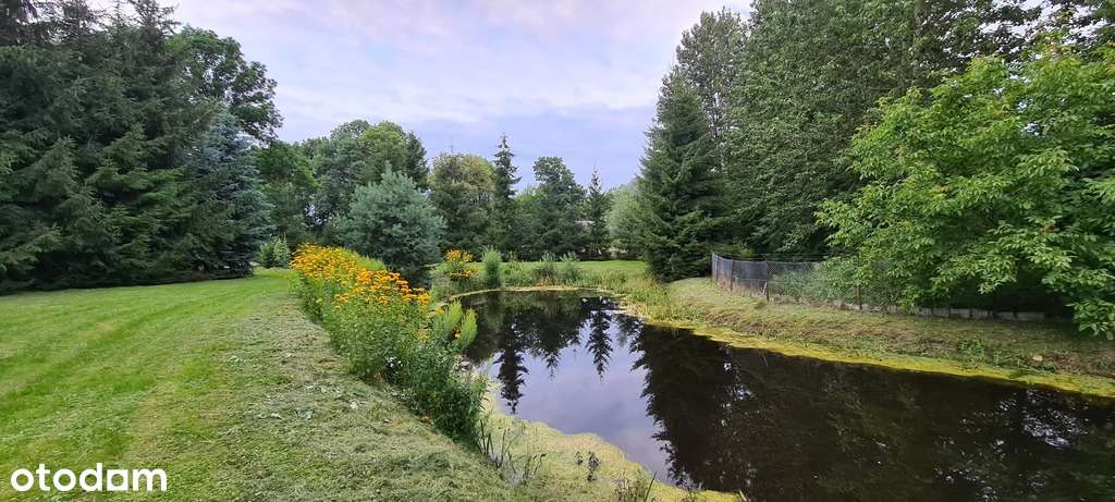 Siedlisko z uroczym domem, Sewerynów, gm. Cyców-15