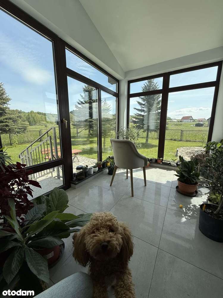 Dom wolnostojący z piękna działką we wsi Jabłów-7