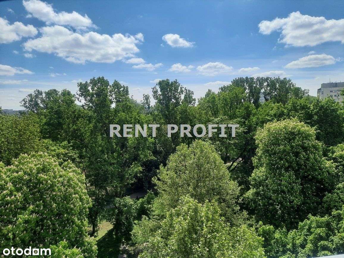 3 pokoje , balkon, doskonałe pod inwestycję!-9