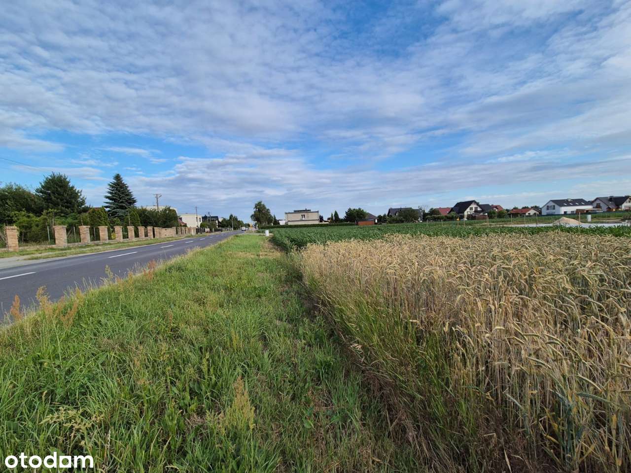 Na sprzedaż działka budowlana 8665 m² – Dopiewo - Pełny obrazek: 4/20