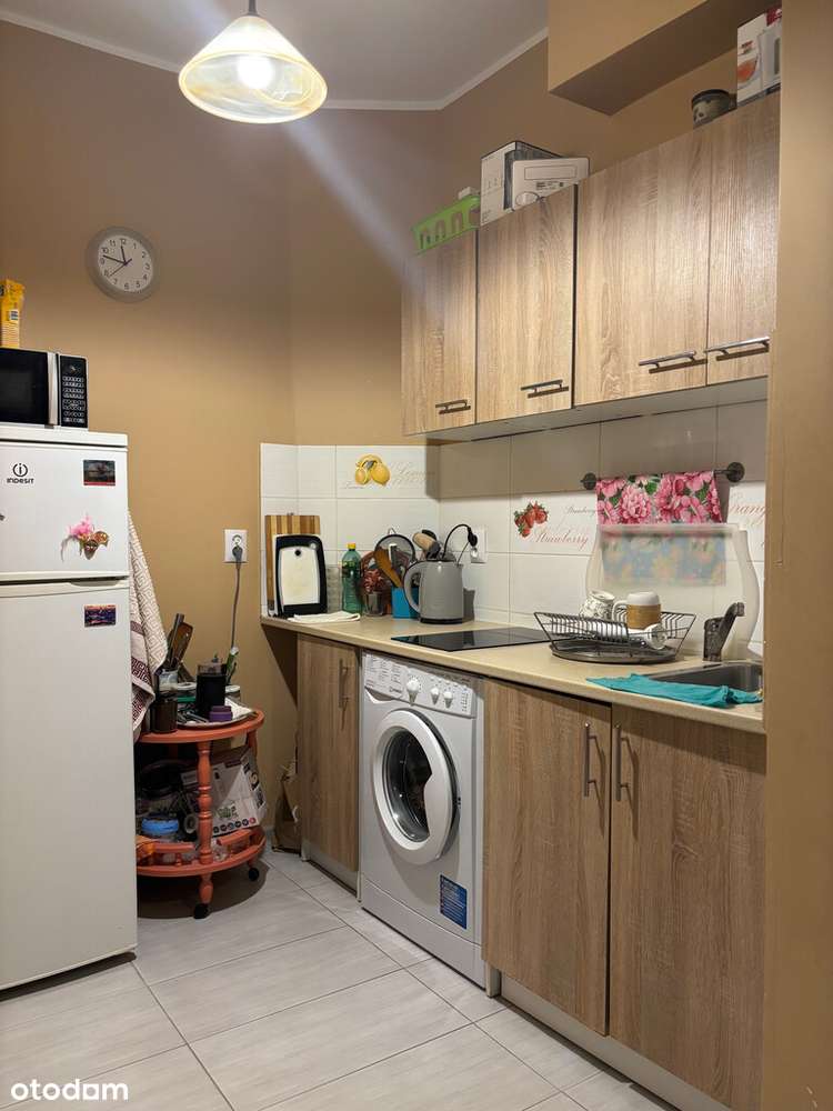 3 pokoje na Łazarzu - Pełny obrazek: 5/14