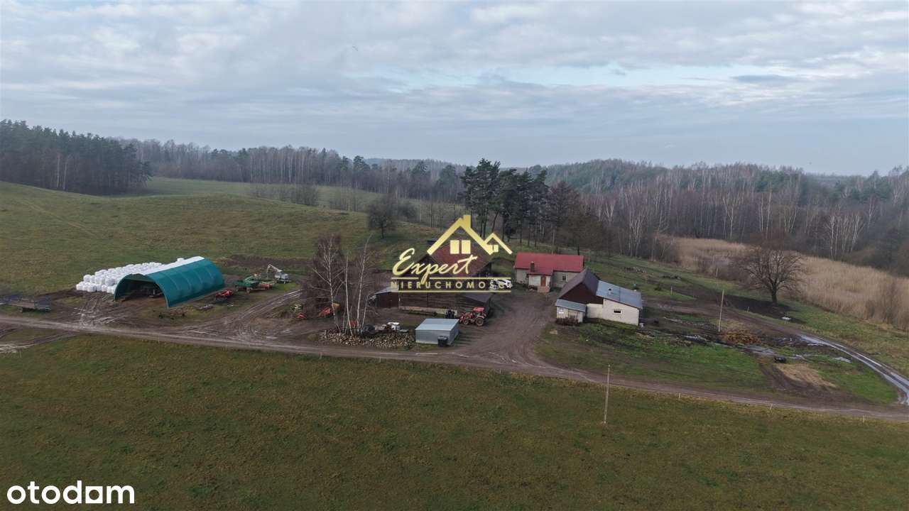 Grunty rolne z zabudową – gmina Ostróda - Pełny obrazek: 3/12