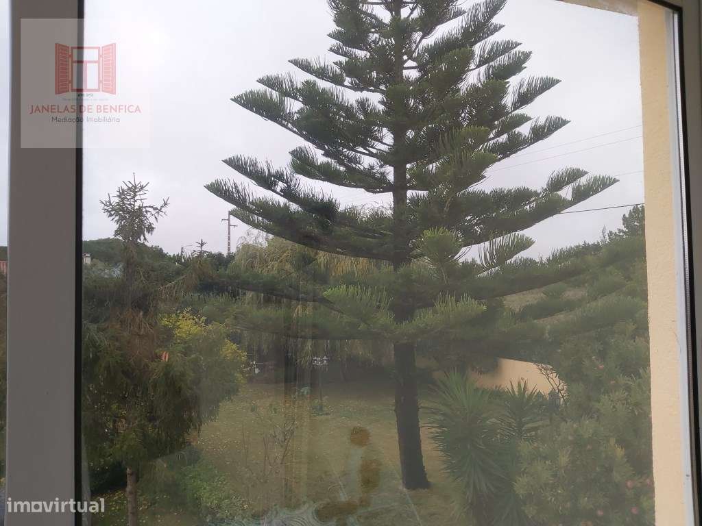 Quintinha com Moradia V3 Piscina - Sintra-28