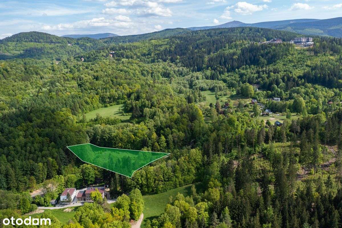 Działka budowlana wśród skał i lasu Sosnówka - Pełny obrazek: 5/7