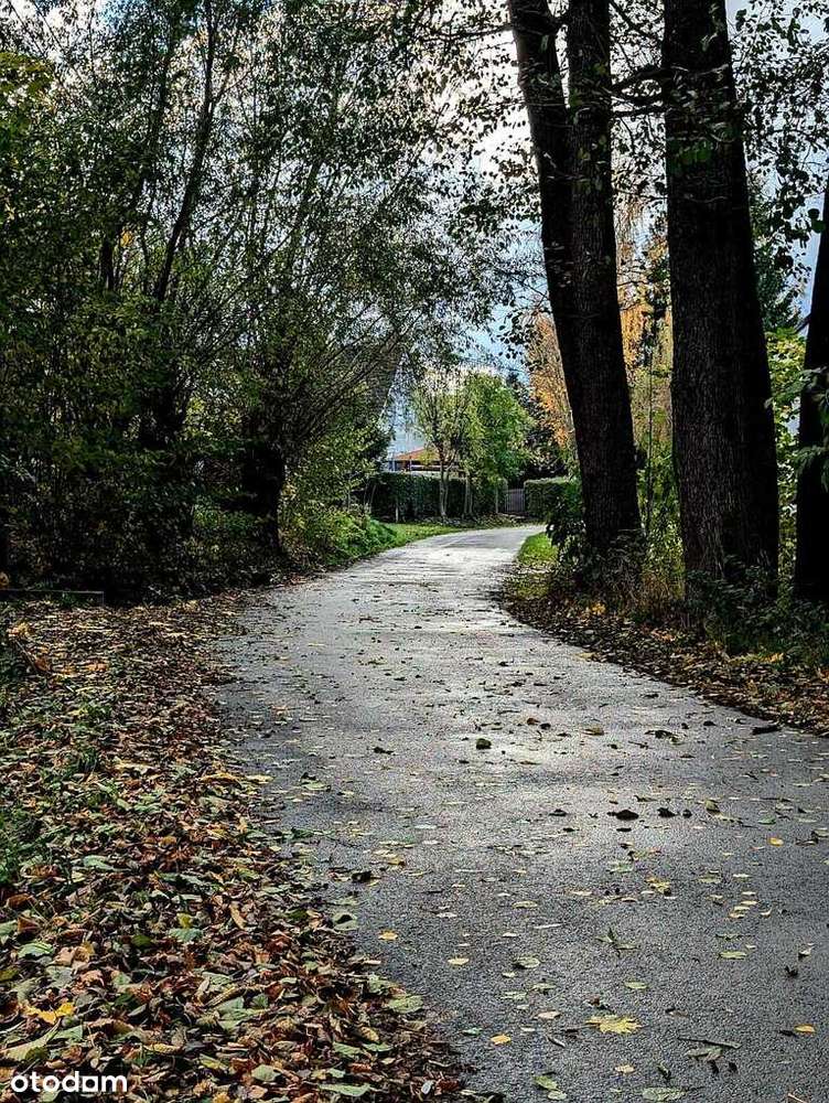 Zaciszna działka w Starym Wielisławiu-6