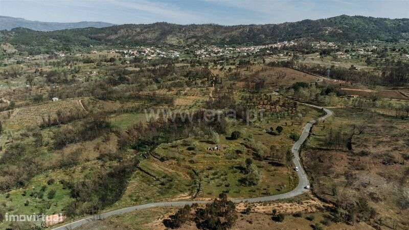 Terreno Rústico / Fundão, Pêro Viseu - Grande imagem: 4/16