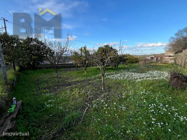 Moradia T2 Venda em Salgueiro do Campo,Castelo Branco-22