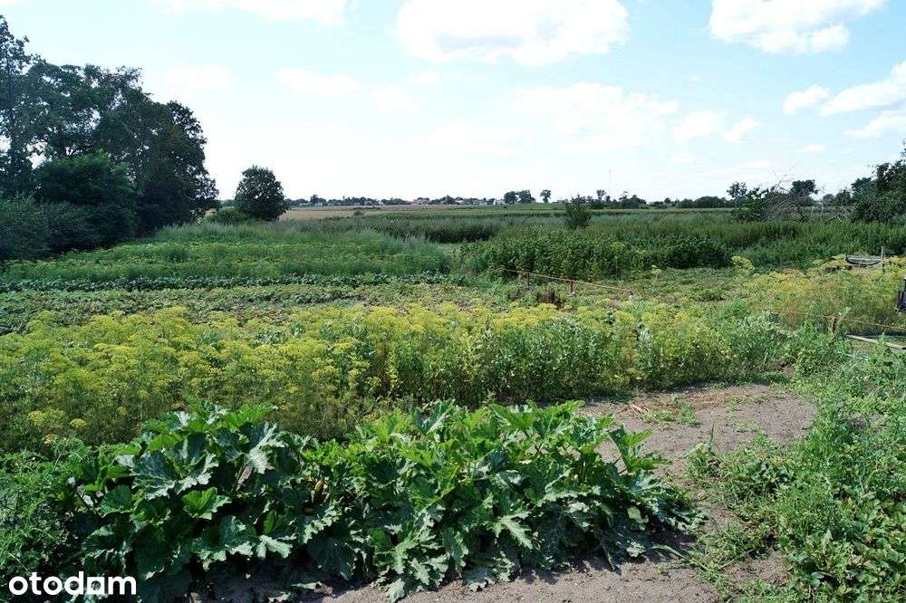 38,64m2 mieszkanie z ogródkiem / 2 km od Rojewa / 12 km od Inowrocław-1