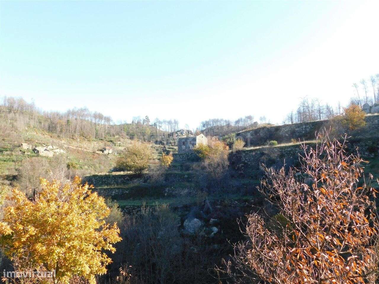 Quinta / Seia, Seia - Grande imagem: 3/8