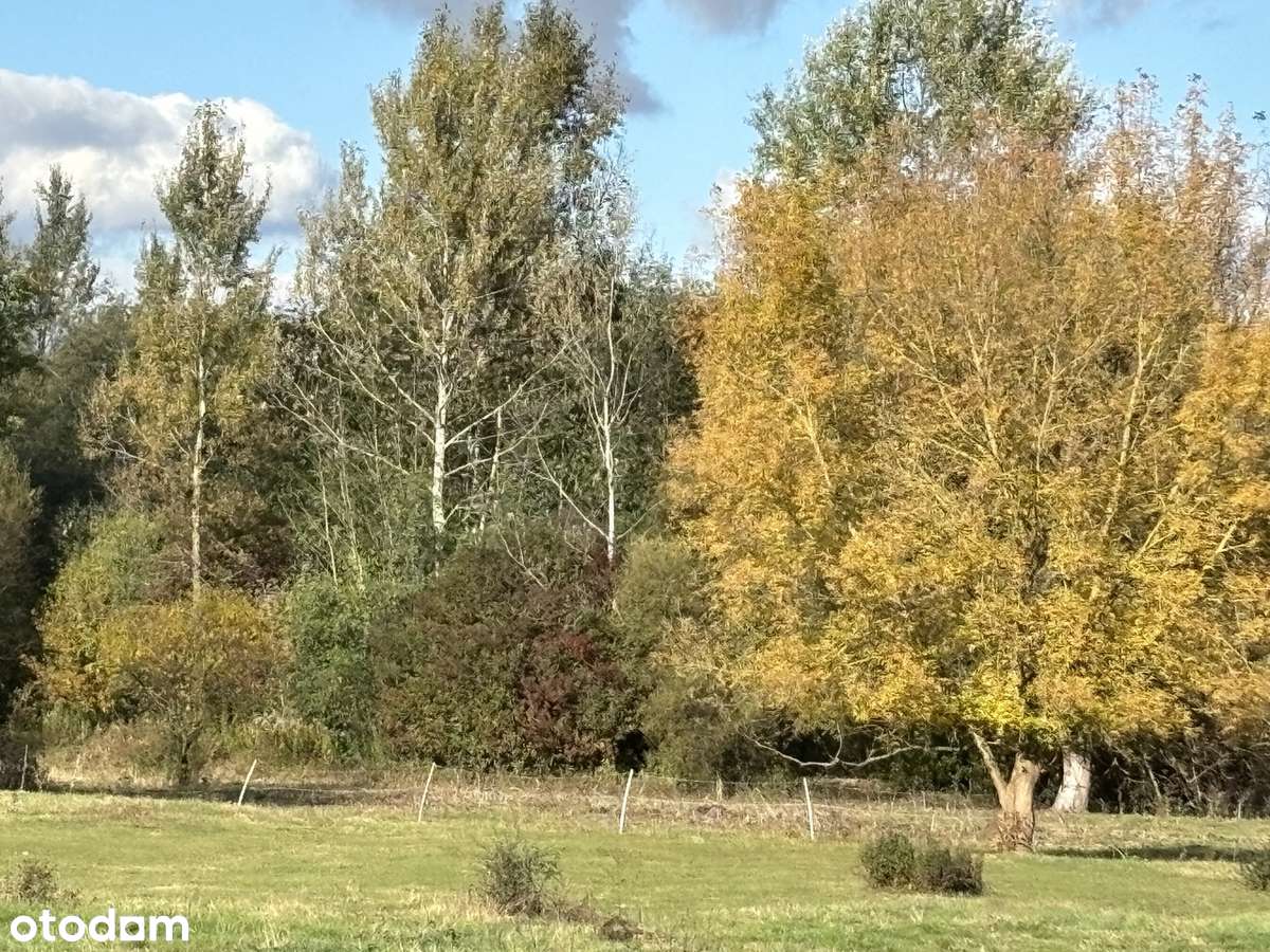 Unikatowe, inwestycyjne 4,15 ha, 100%  budowlane nie trzeba WZ jest MP - Pełny obrazek: 5/6