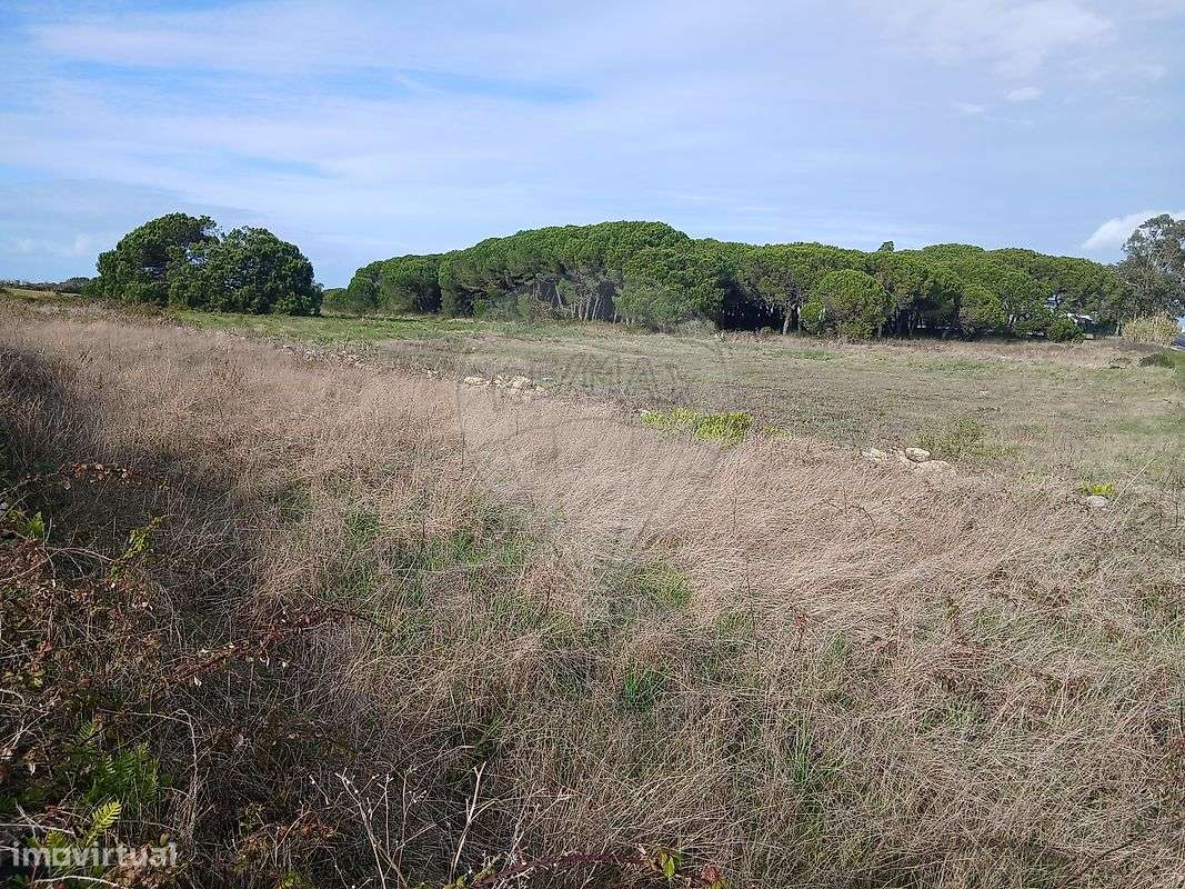 Industrial  para venda - Grande imagem: 3/12