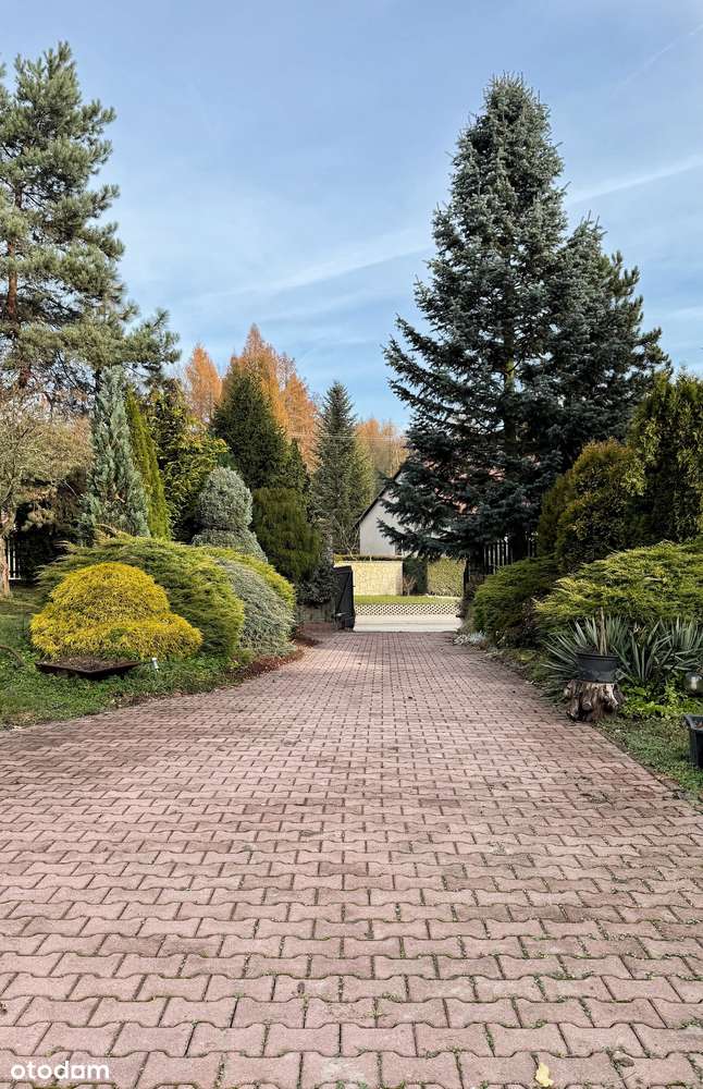 dom w ogrodzie Bolechowice-3