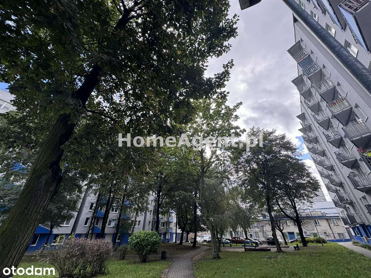 Koszutka-top lokalizacja, blisko Spodka-14