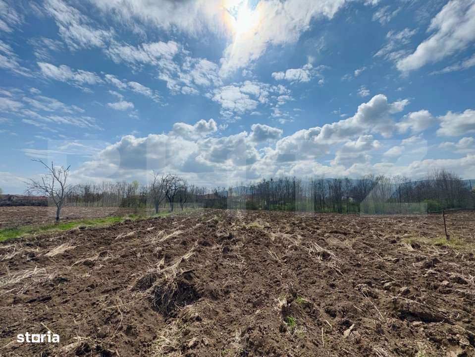 Teren intravilan de vanzare, 1500 mp, zona Șoimus - Imagine principală: 2/3