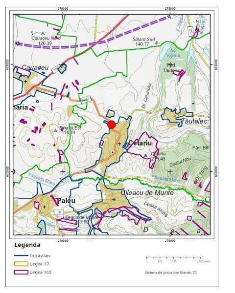 Teren intravilan 7176 mp, in Cetariu, zona in continua dezvoltare - Imagine principală: 5/5