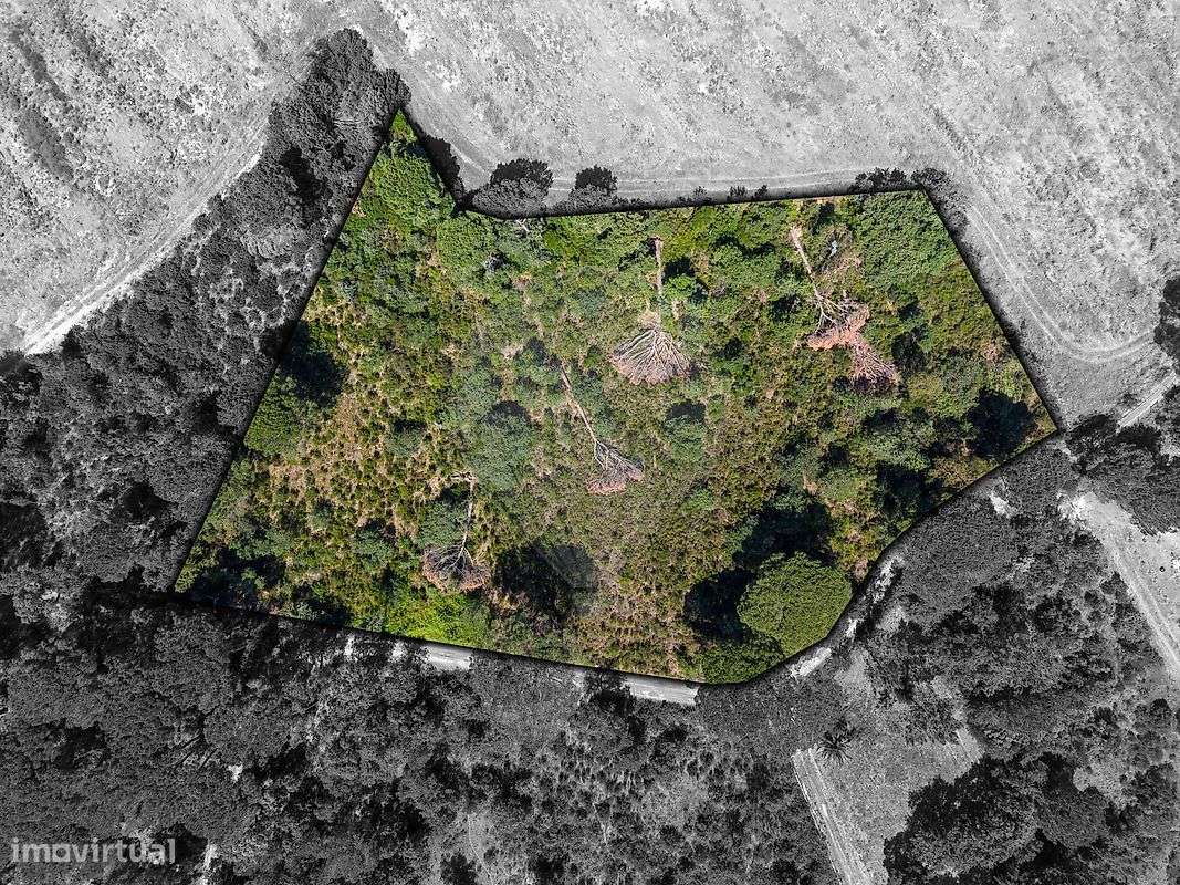 Terreno  para venda-11