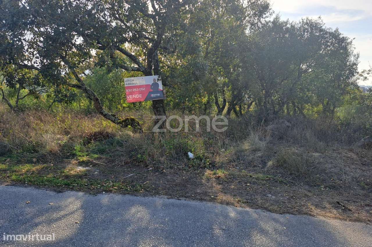 Terreno Urbanizável a 5 min. da Batalha - Grande imagem: 5/24