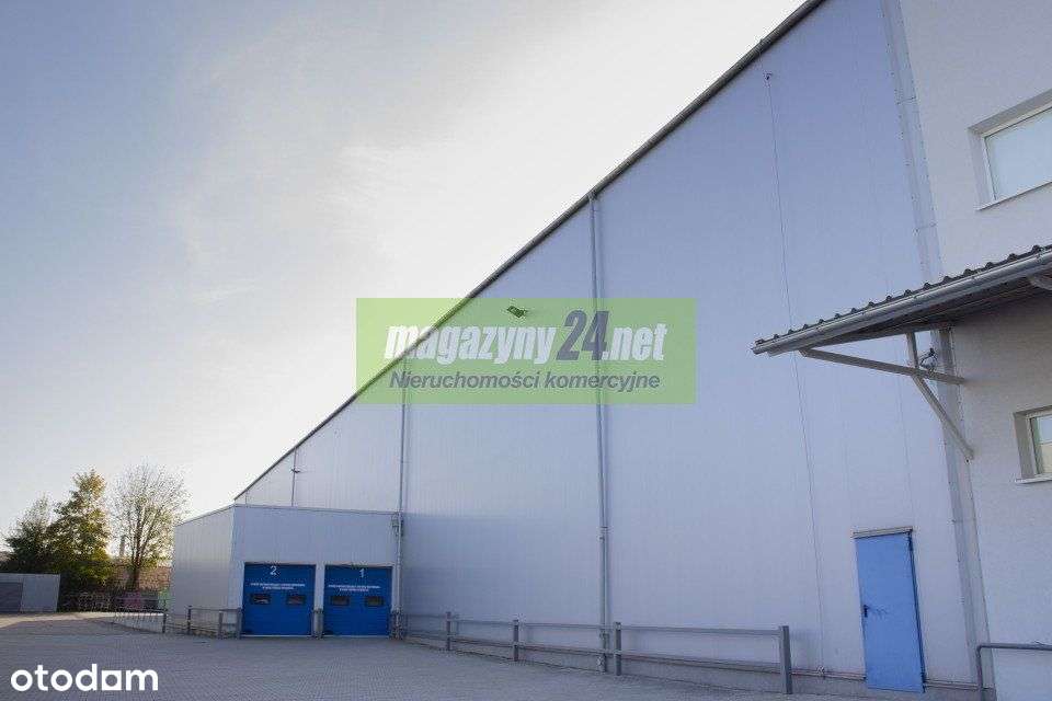 Do wynajęcia hala magazynowa 2726 m2 Gniezno - Pełny obrazek: 3/5