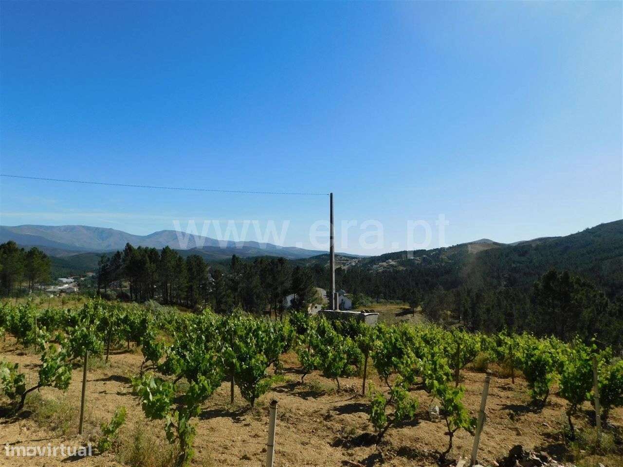 Terreno / Fundão, Silvares - Grande imagem: 2/9