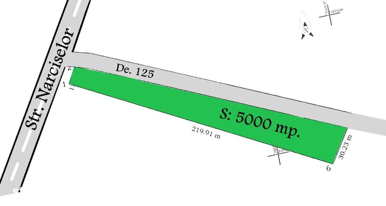 Teren strada Narciselor - Imagine principală: 4/13