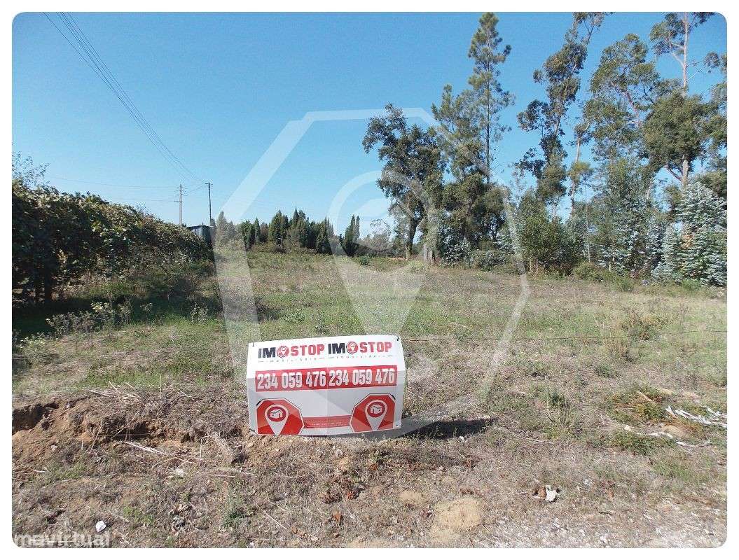 Terreno para Construção- Arredores Oliveira do Bairro - Grande imagem: 2/2