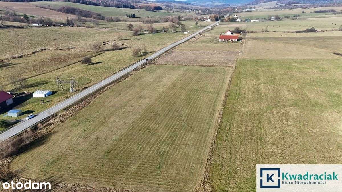 Piękna, budowlana działka w Zdyni!-1