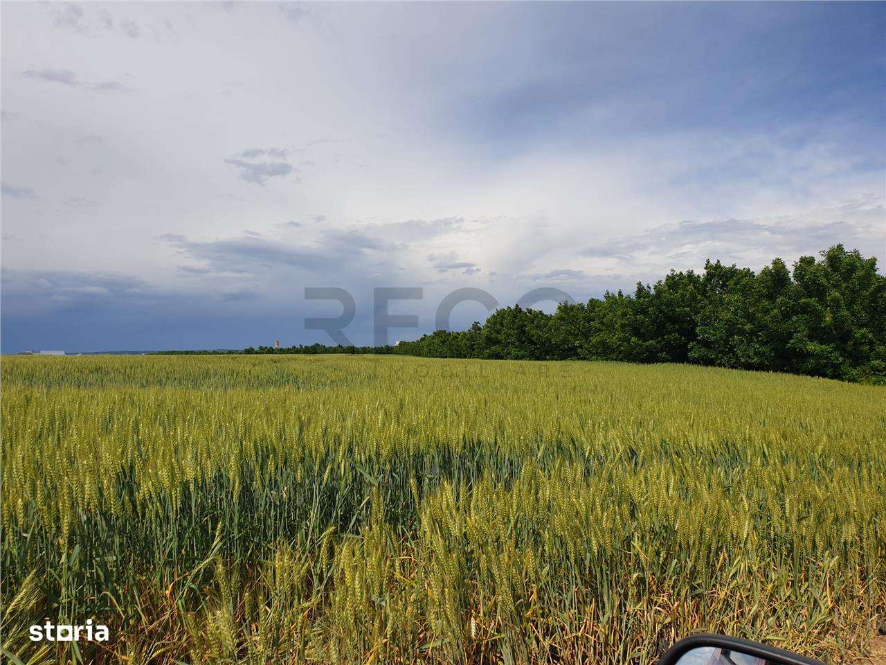 RECO Teren extravilan zona Aeroport Oradea - Imagine principală: 3/3