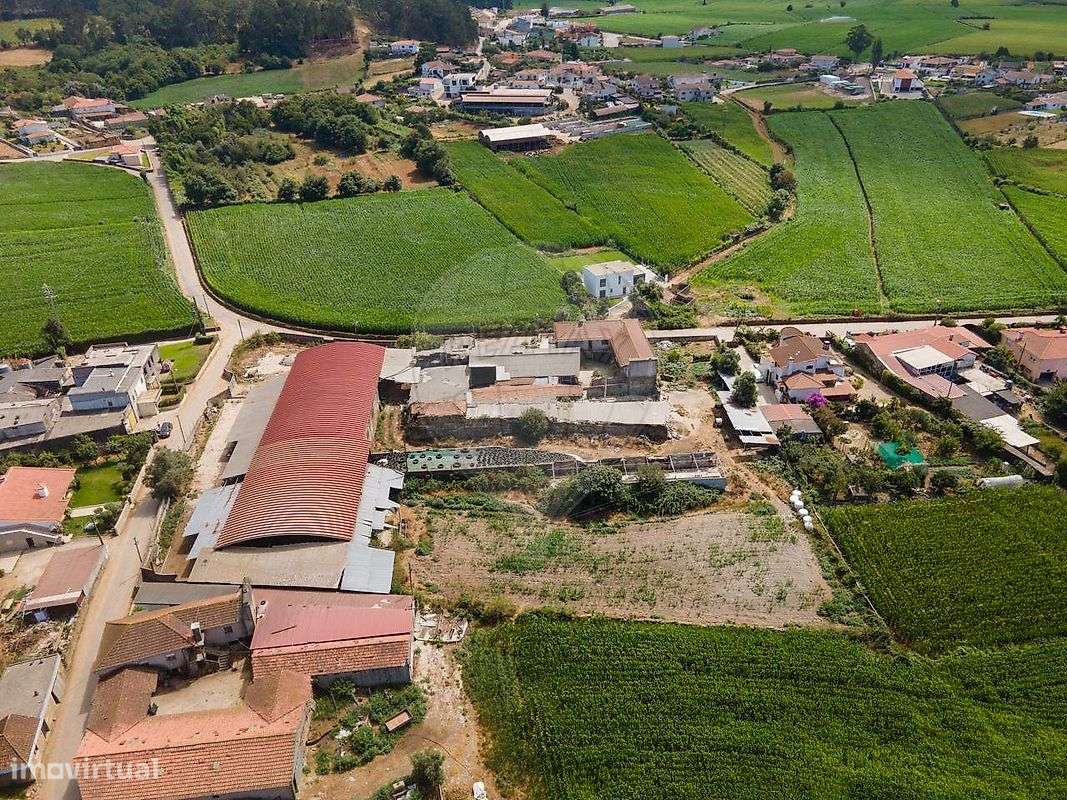 Terreno  para venda-5
