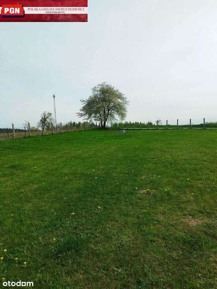 Atrakcyjna działka z jurtą w sercu Kotliny-3