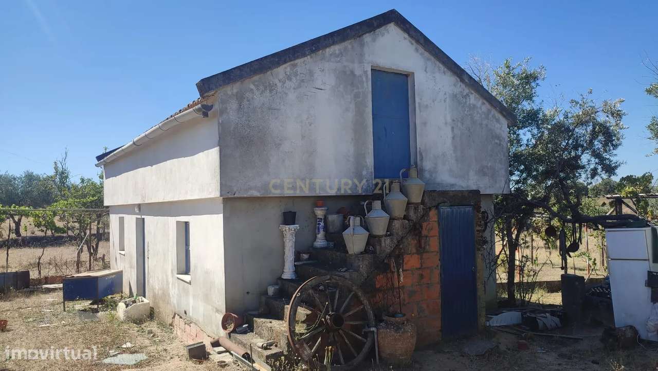 QUINTA NOS ESCALOS DE BAIXO COM 7625 m2 - Grande imagem: 3/29