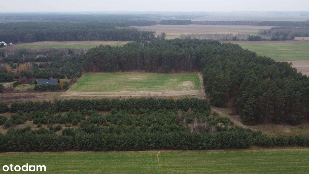 Działka budowlana z lasem-6