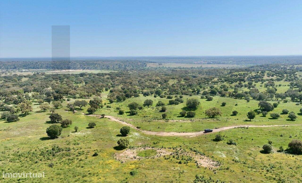 Refúgio Ideal no Alentejo: Investimento único com Potencial Agrícola e - Grande imagem: 4/13