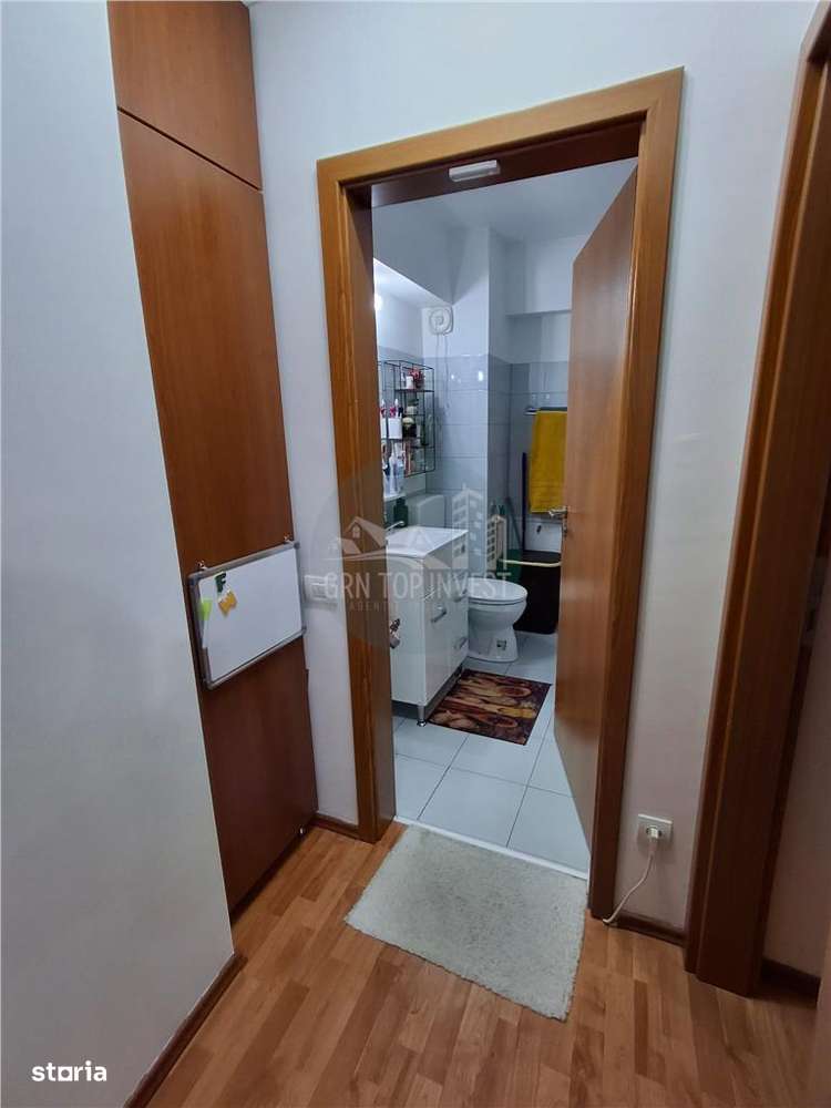 Apartament 2 camere et 1 zona Turnisor-4