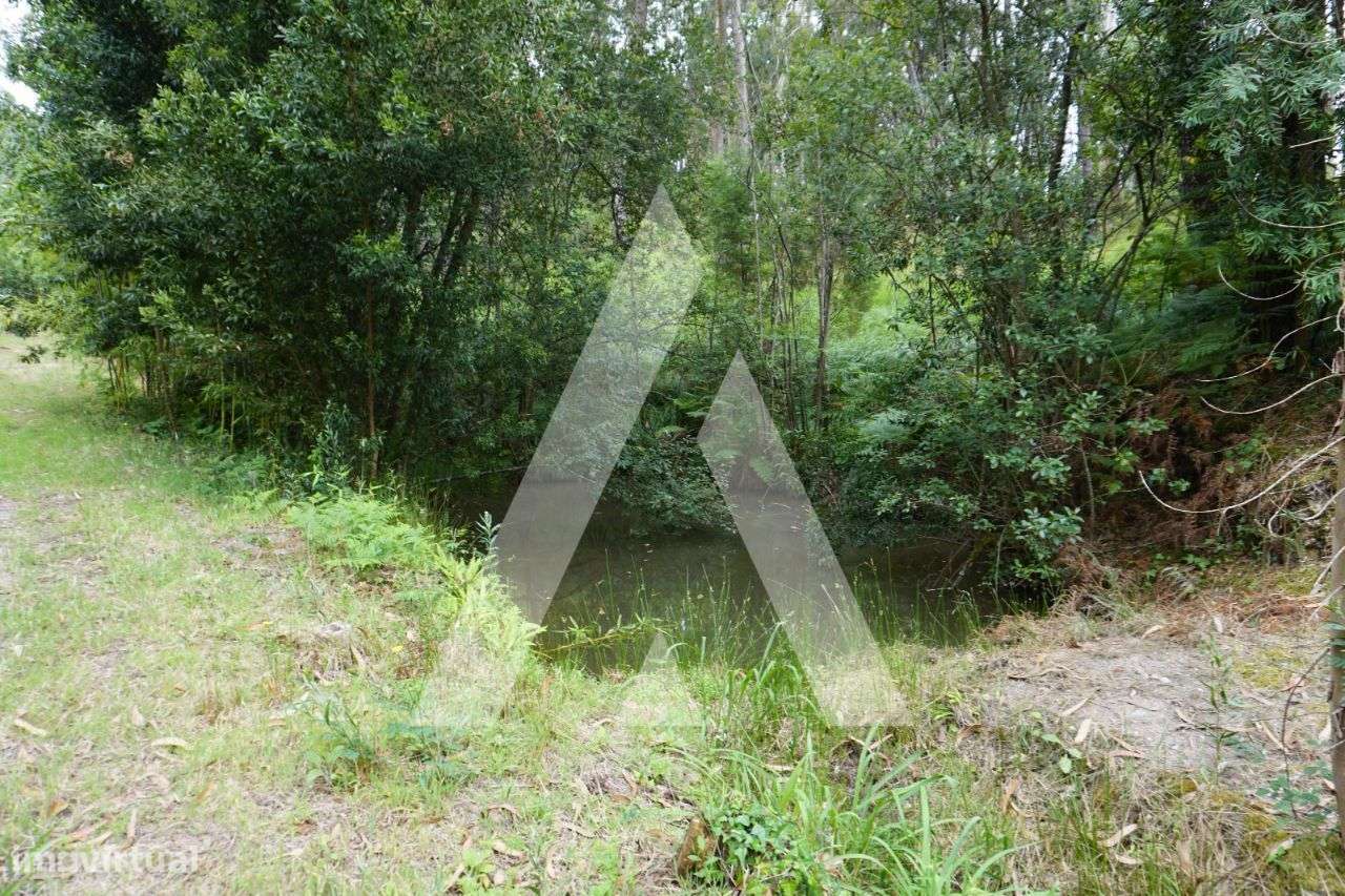 Terreno agrícola situado na zona de Horta em Eixo, Aveiro - Grande imagem: 5/25