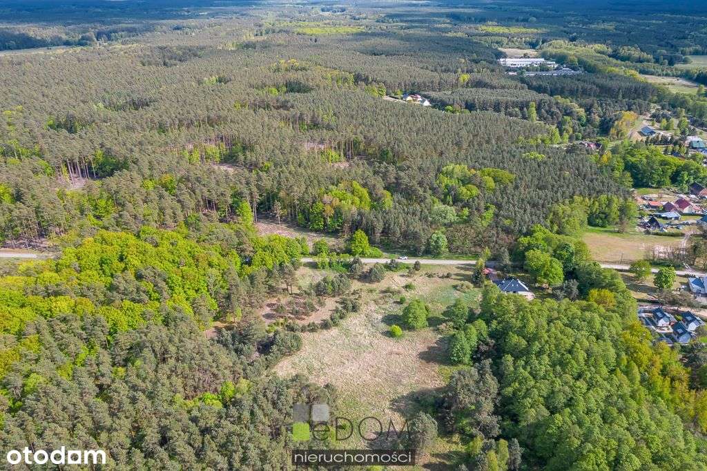 Działka, 1 589 m², Santoczno - Pełny obrazek: 4/5