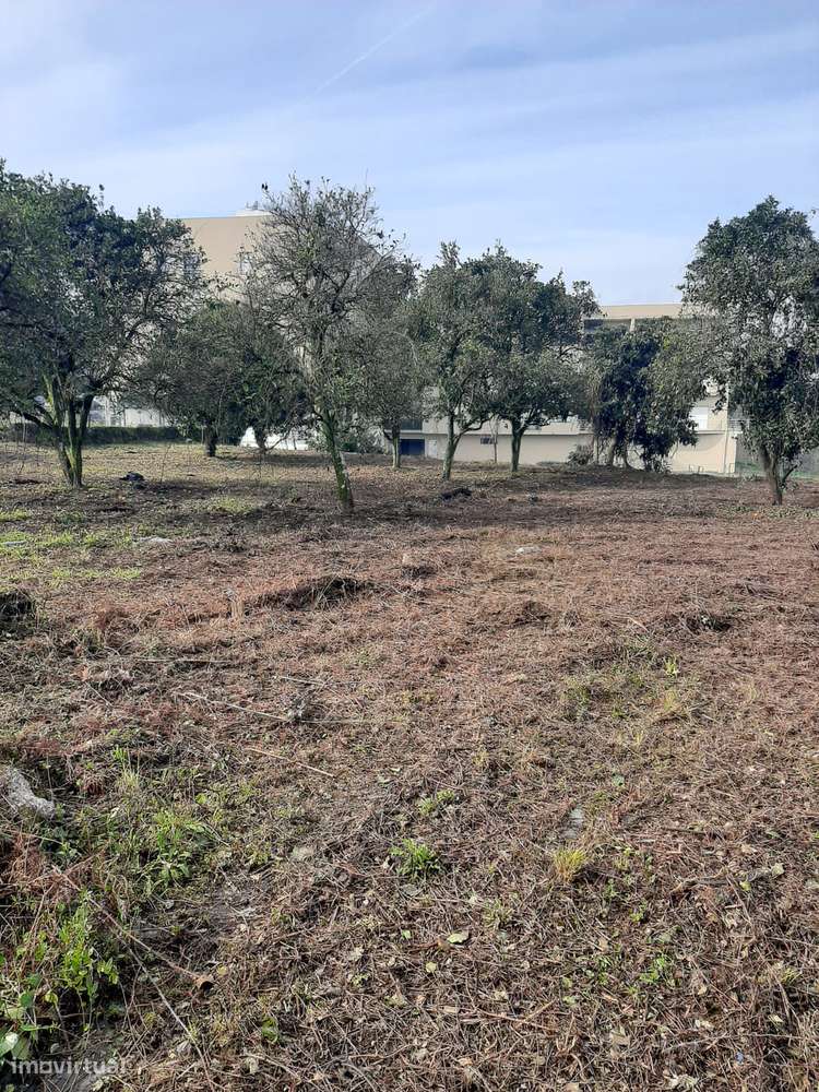 VENDE MORADIA/QUINTINHA V5 Centro de Fonte Arcada Penafiel - Porto-12
