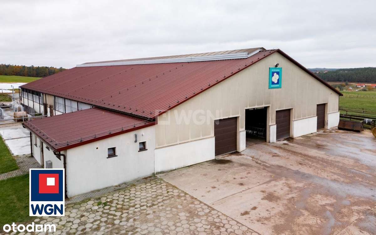 Na sprzedaż, Gospodarstwo Rolne- Ekologiczna Farma Mleczna, Wyczechowo-5