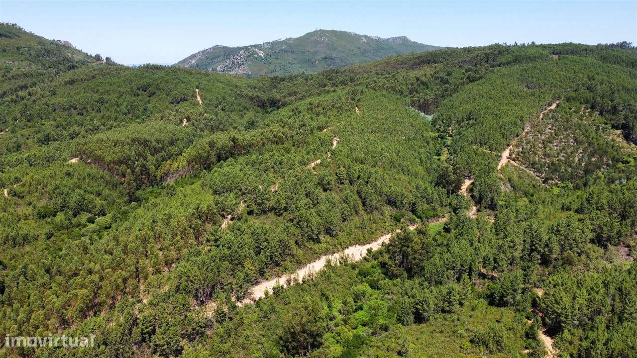 Terreno Rústico  Venda em Sarnadas de São Simão,Oleiros - Grande imagem: 5/11