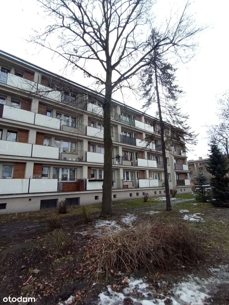 Mieszkanie trzypokojowe w centrum . Do wprowadzenia.-10