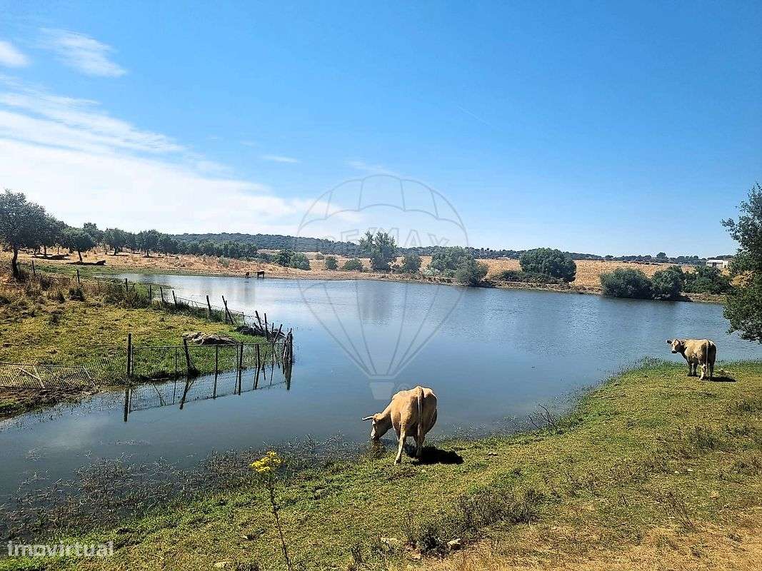 Moradia T6 para venda - Grande imagem: 2/25