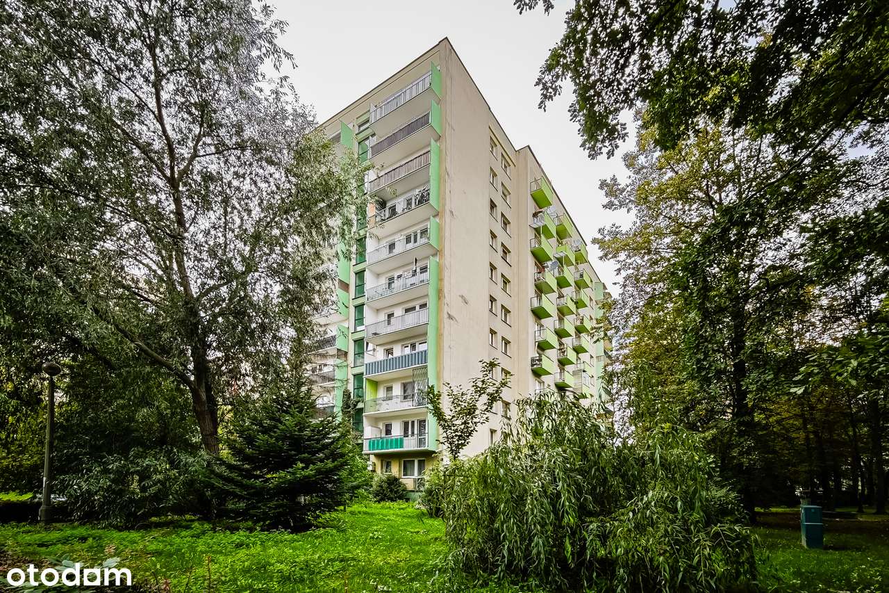 1 pokojowe | dobry standard | widok na zieleń-8