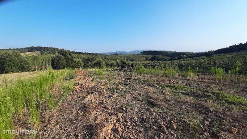 Terreno com 12.000 m² - Grande imagem: 5/7