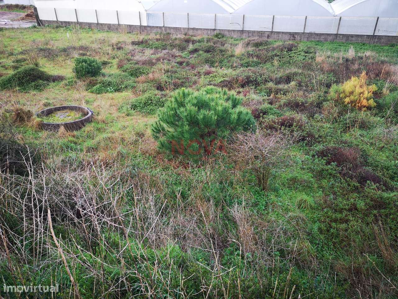 Terreno rustico na Estela | NOVA Imobiliária - Grande imagem: 4/5
