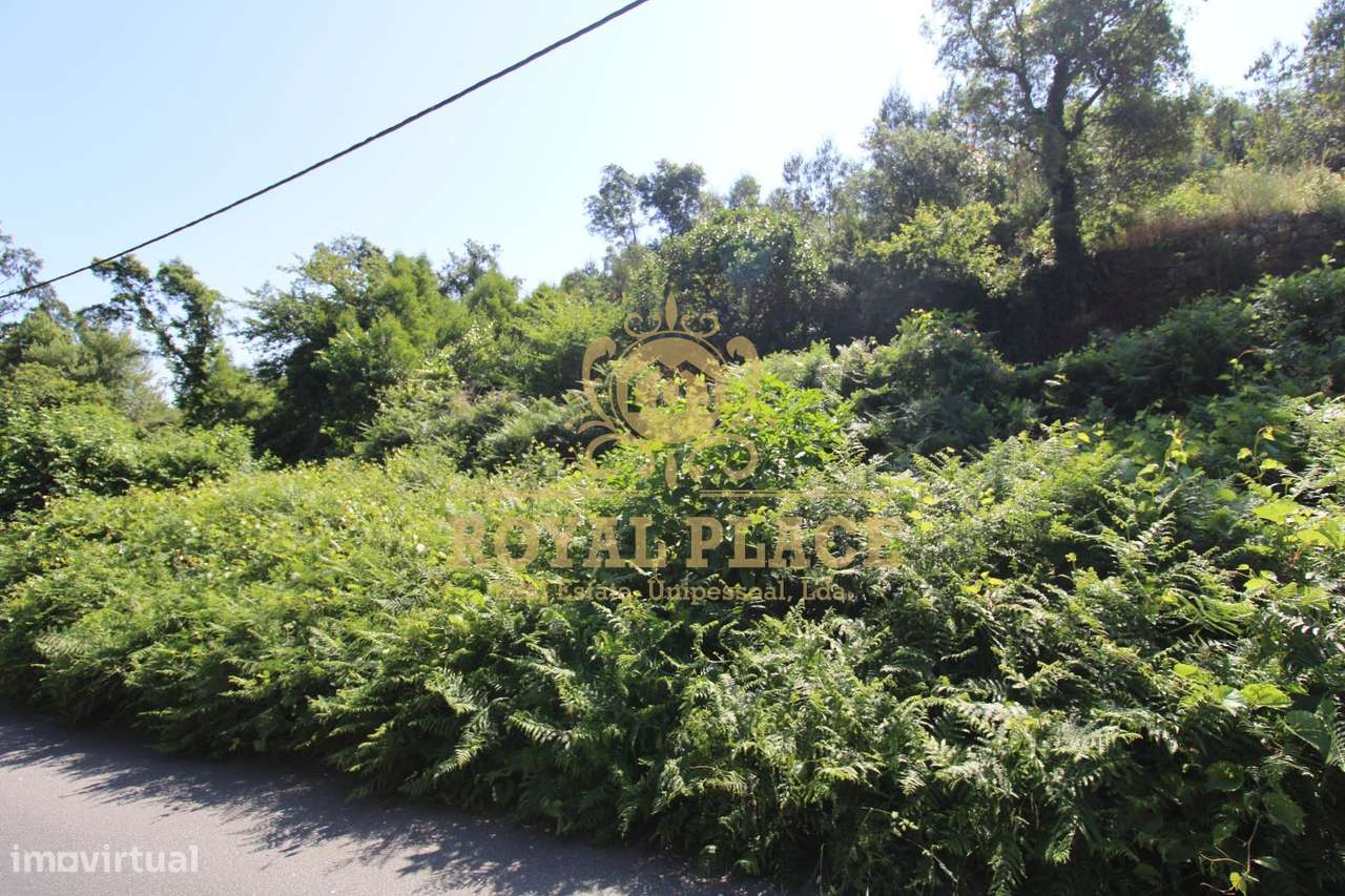 Terreno com 4 700m2 em Avintes - Grande imagem: 5/13